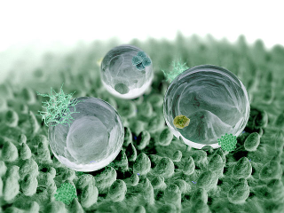 Illustration for article titled NASA Has a Fix for the Billion-Dollar Problem of Splattered Bug Guts